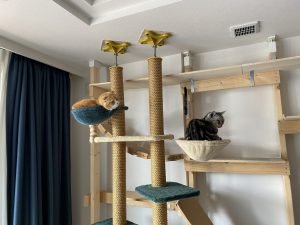 IMG_7562-300x225 【食事の与え方】肥満にさせないための回数や量は?