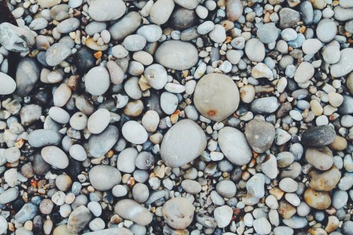 erik-jan-leusink-4psNpOezGzQ-unsplash-500x333 【トイレが長い何度も?】猫の尿路結石の症状とその原因と対策