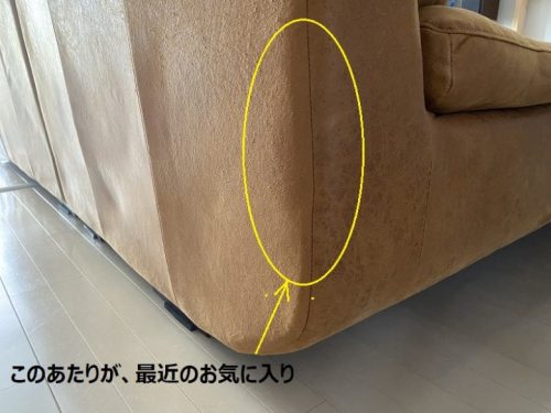 IMG_6653-1-500x375 【ペットの爪に強いソファ】「レザーテックス」を検証してみた