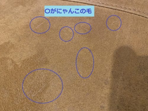 -1-500x375 【ペットの爪に強いソファ】「レザーテックス」を検証してみた