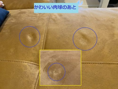 _02-500x375 【ペットの爪に強いソファ】「レザーテックス」を検証してみた