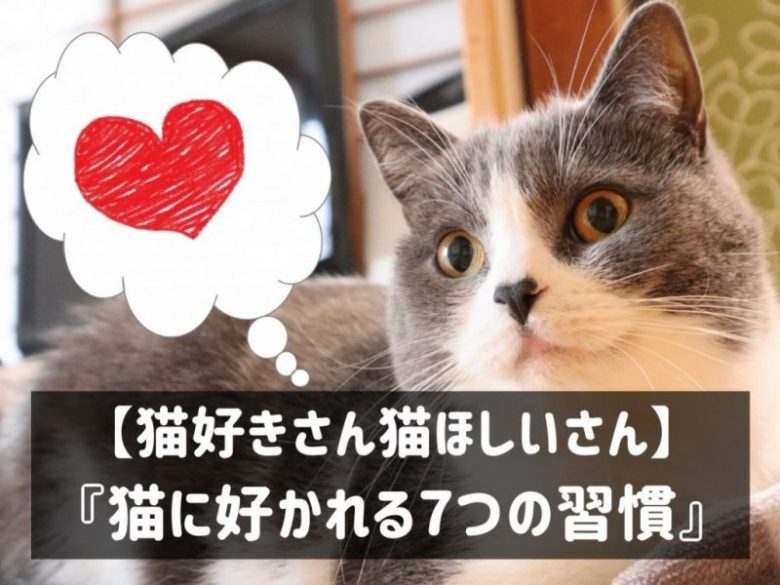 -好かれるための7つの習慣 【猫はいつ誕生したのか?猫の祖先は?】~ネコとヒトが出会った日