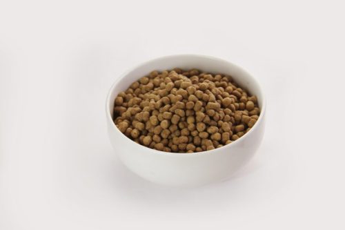 slice_02-500x333 【食いつきは?プレミアムな食事】モグニャンって結局どう?